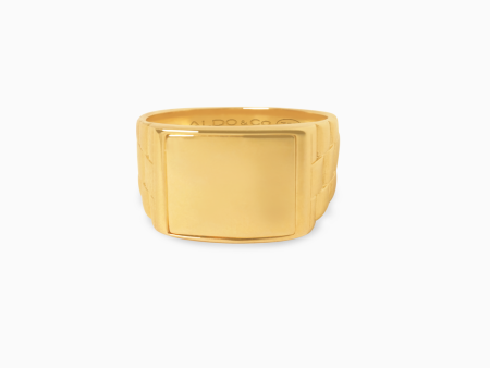 Anillo en oro amarillo de 18K chevalier For Cheap