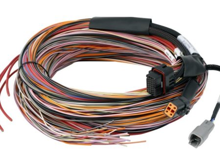 Haltech PD16 Flying Lead Harness 5M Cheap